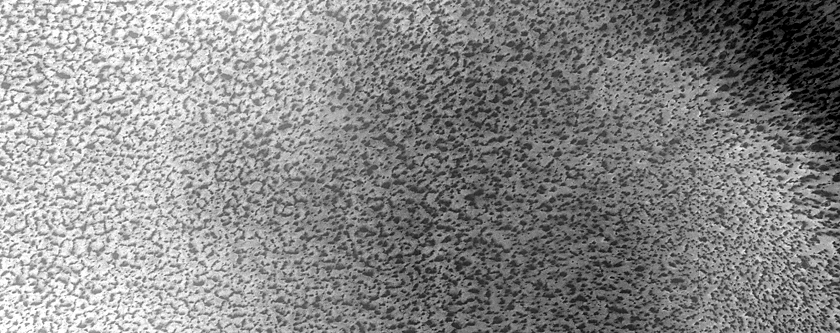 USGS Dune Database Entry Number 1483-775
