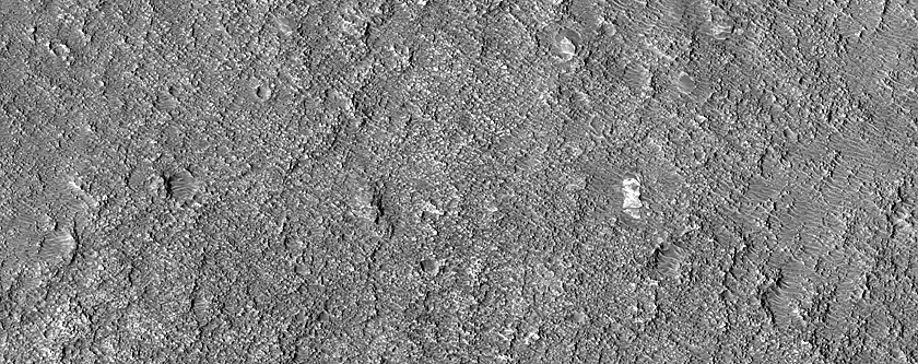 Well-Exposed Bedrock