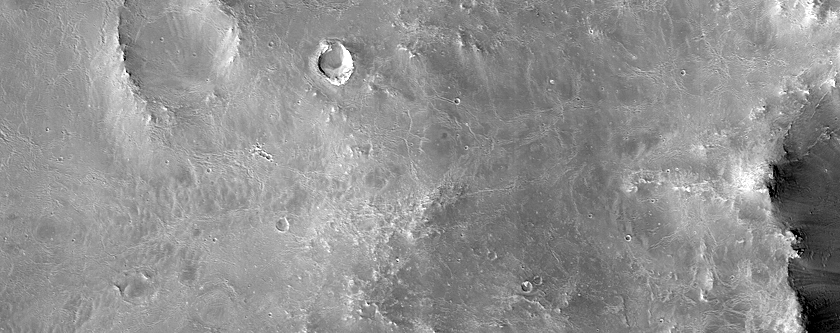 Terrain Sample in Daedalia Planum