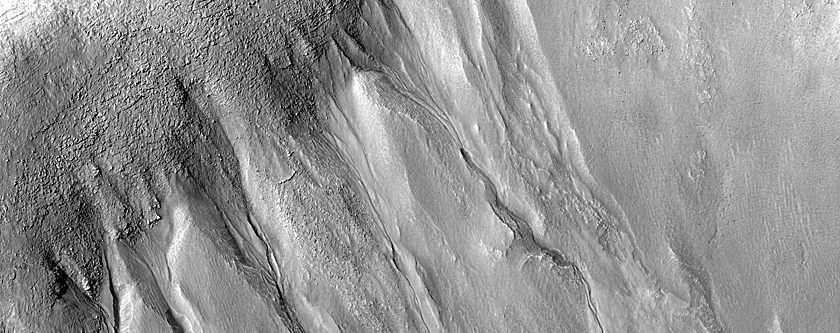 Gullies in Southern Mid-Latitude Crater