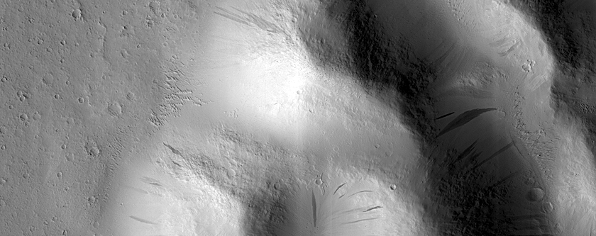 Terrain Sample