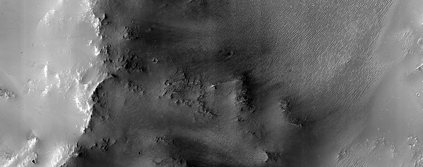 Terrain Sample