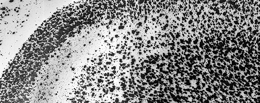 USGS Dune Database Entry Number 3439-731