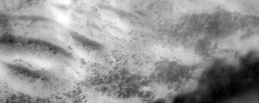 USGS Dune Database Entry Number 1251-738