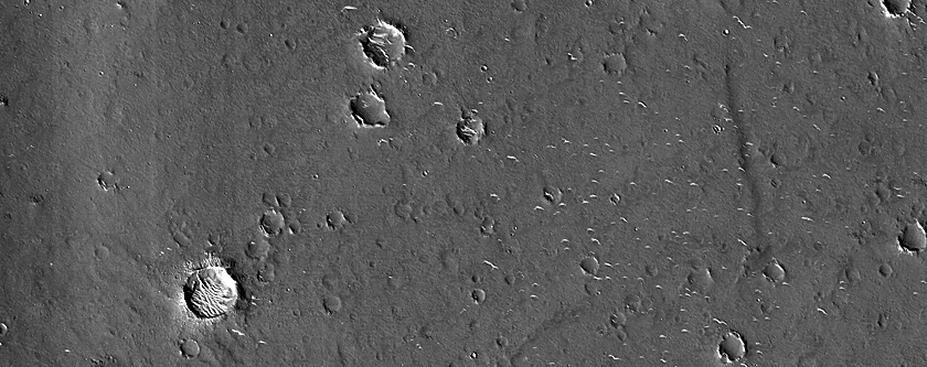 Possible Landing Site of Zhurong Mission
