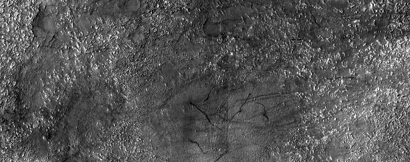 Terrain Sample