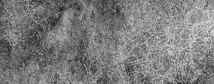 Terrain Sample