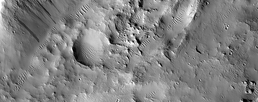 Terrain Sample