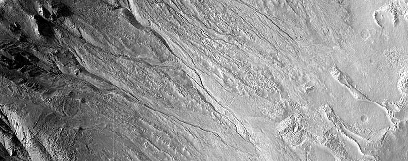 Gully Monitoring