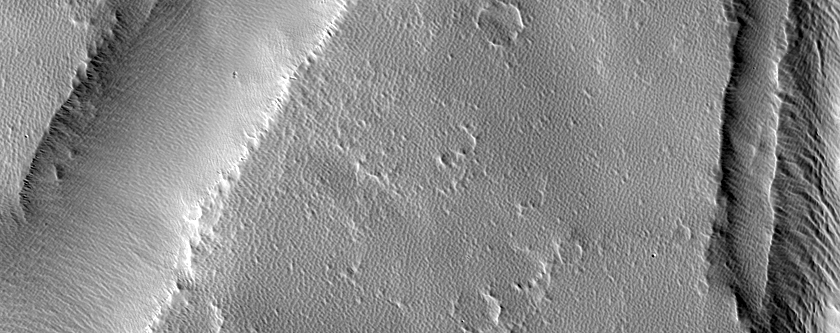 Terrain Sample