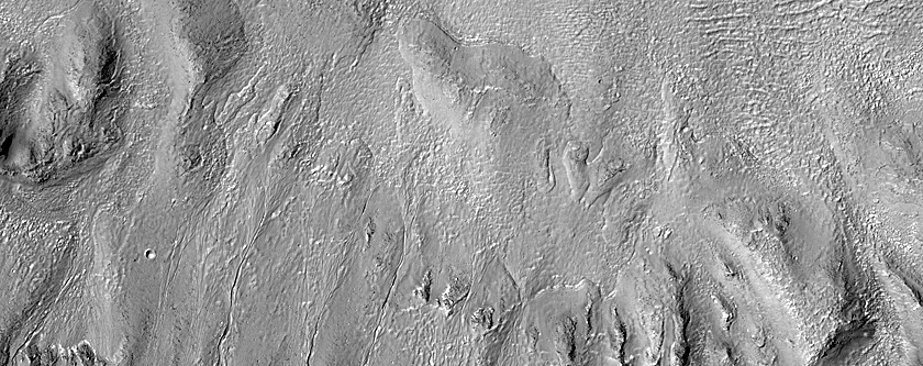 Gully Monitoring
