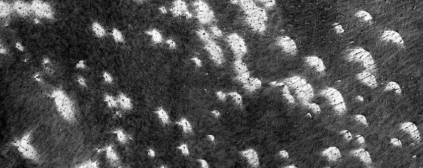 Bright and Dark Fans