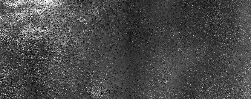 Terrain Sample