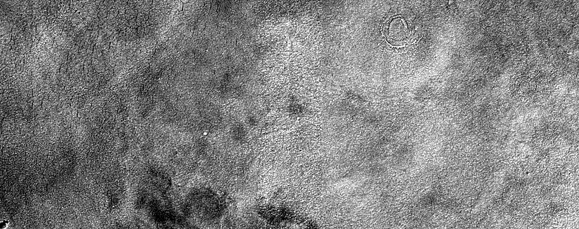 Terrain Sample