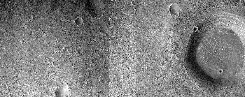 Terrain Sample