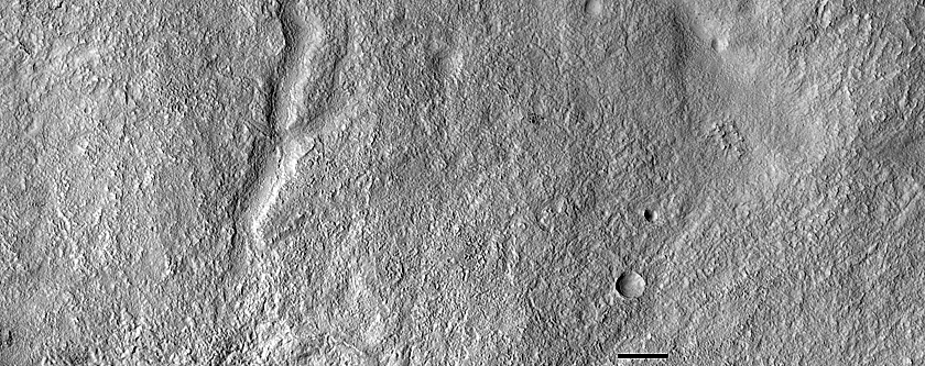 Gully Monitoring