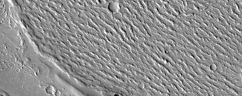Channel with Distinct Levees