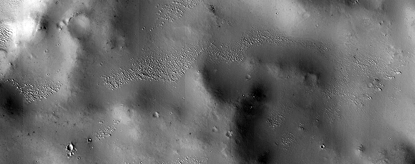 Farah Vallis