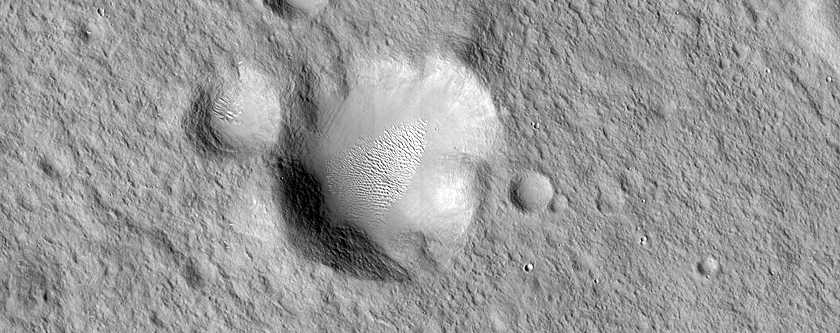 Terrain Sample