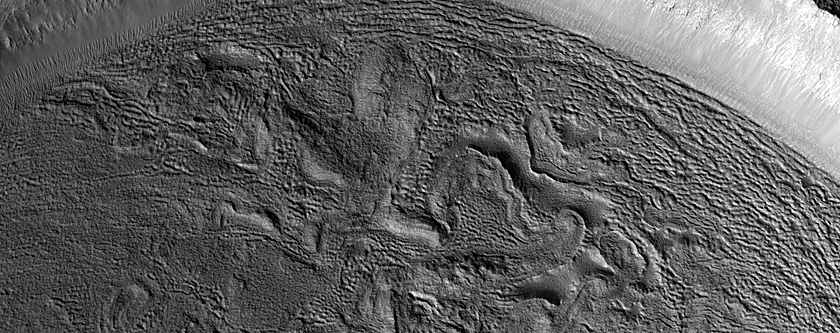 Concentric Crater Fill in Phlegra Montes