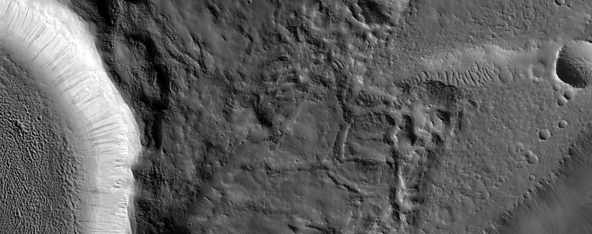 Terrain Sample