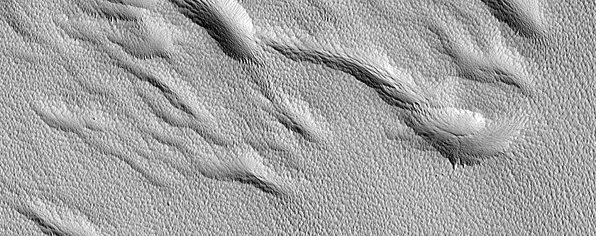 Terrain Northeast of Nicholson Crater