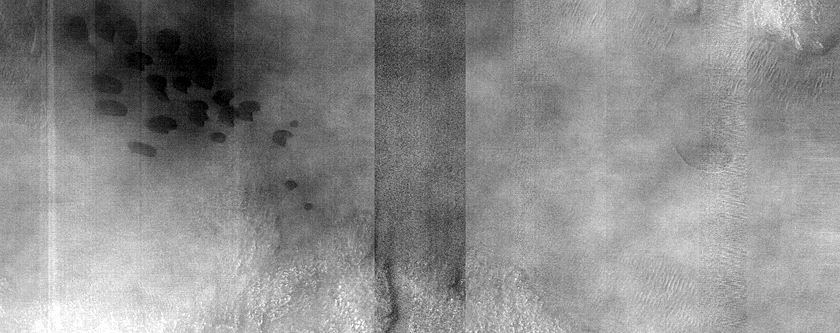 Dune Monitoring in Lyot Crater