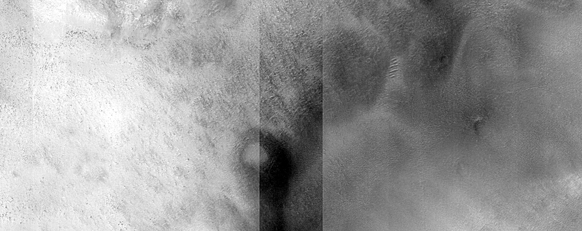Dune Monitoring in Crater