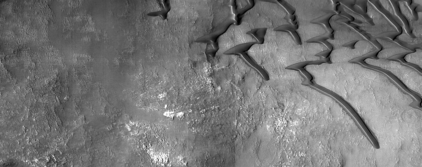 Context for USGS Dune Database Entry Number 0455-415