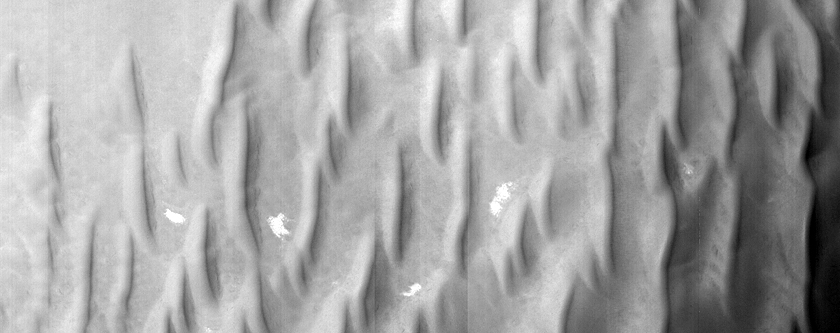 Oval Dune Field in Crater