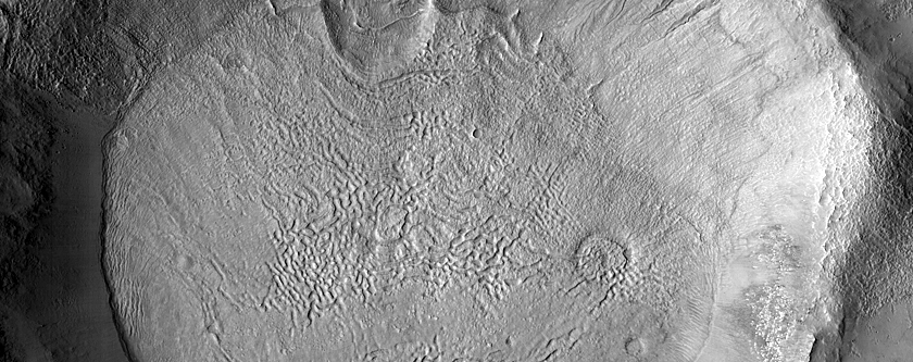 Gullied Crater