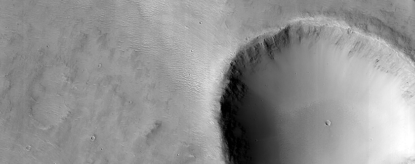 Terrain Sample