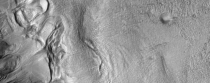 Gullies in Newton Crater