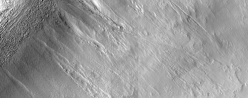 Gully Monitoring