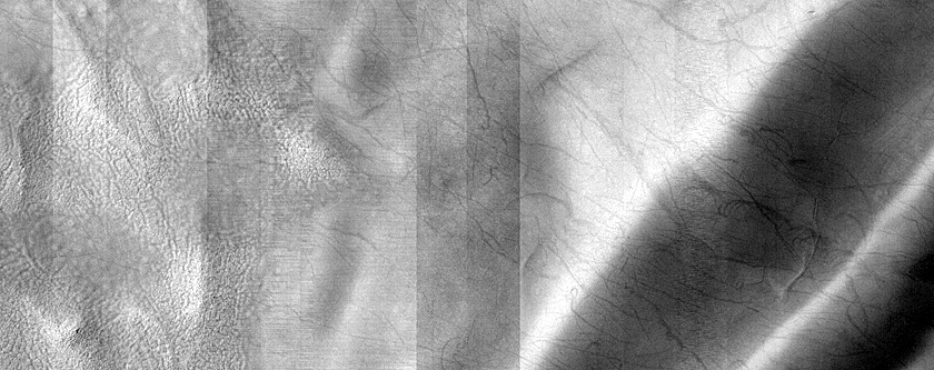 USGS Dune Database Entry Number 1228-630