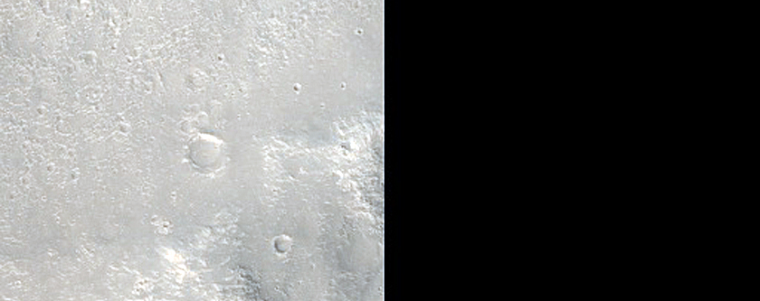 Elysium Planitia