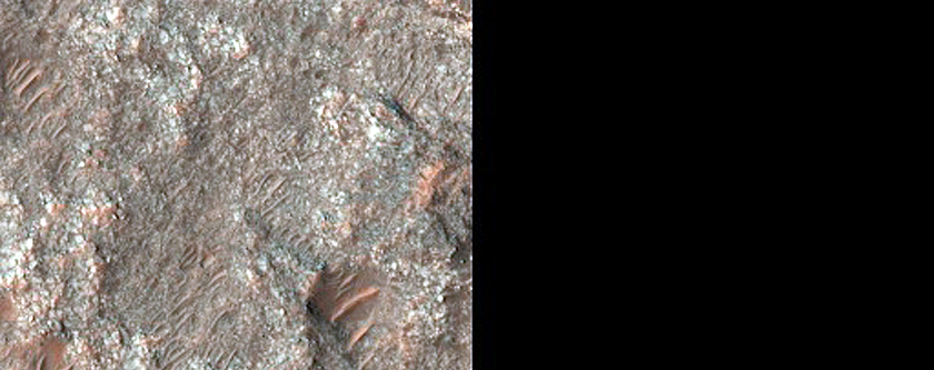 Diverse Bedrock on Terra Sabaea Crater Floor