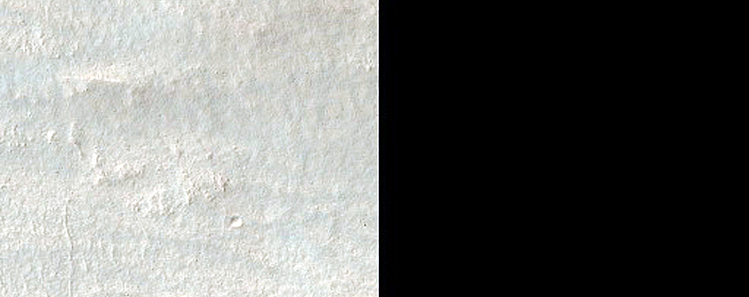 Gully Monitoring