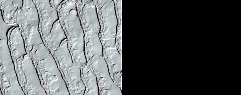 South Polar Residual Cap Site