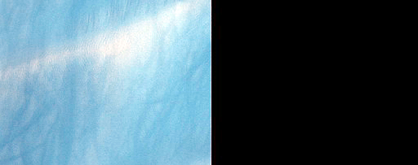 Aeolian Dune Monitoring Site