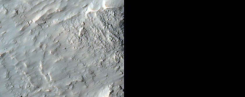Gullied Slope