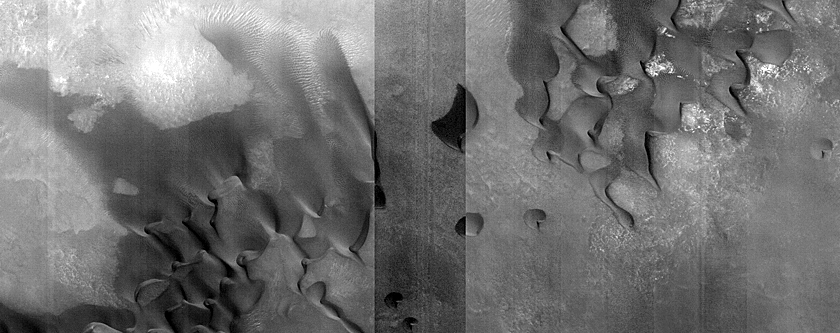 Dune Monitoring in Davies Crater