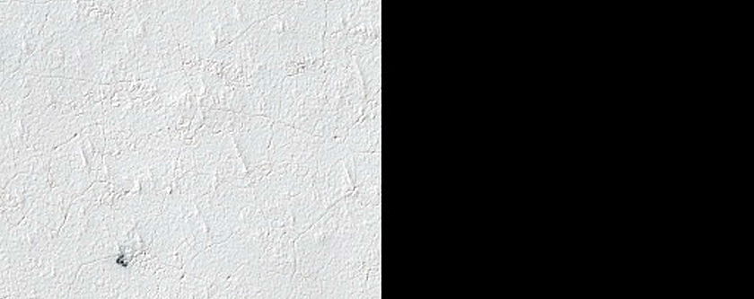 Spider Terrain Not on South Polar Layered Deposits