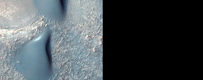 USGS Dune Database Entry Number 1818-504