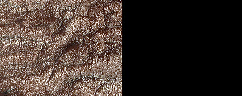 Terrain Sample