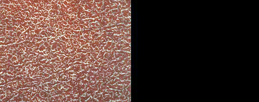 Terrain Sample