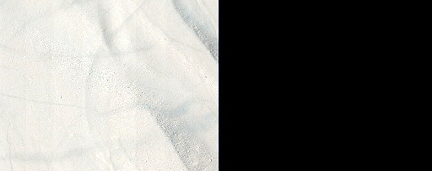 High Southern Latitude Gullies