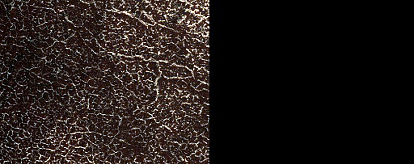 Terrain Sample
