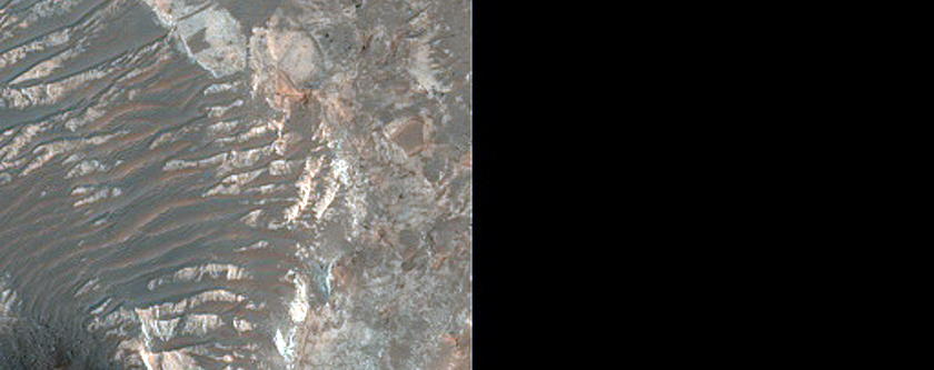 Terrain Sample