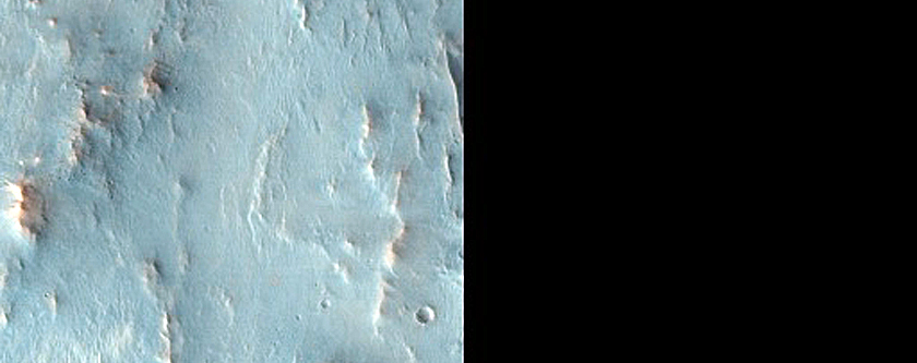 Phyllosilicate-Bearing Ejecta of Negril Crater